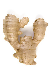 Image showing Ginger Root, Isolated