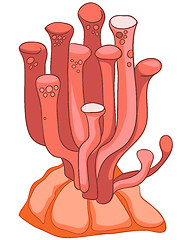 Image showing Cartoon Alga