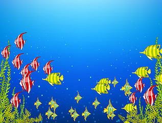 Image showing Ocean Underwater World