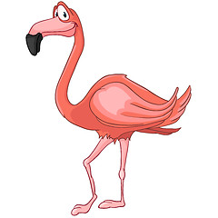 Image showing Flamingo