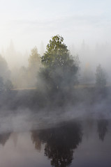 Image showing Morning mist