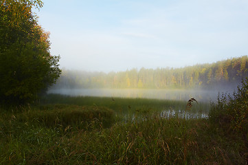 Image showing Morning mist