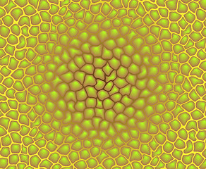 Image showing Color texture - pattern of cells