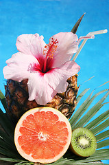 Image showing Tropical Cocktail