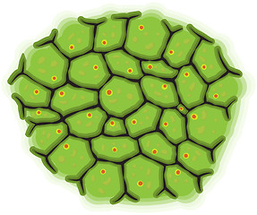 Image showing Schematic representation of living cells