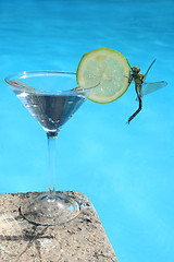 Image showing Summer Cocktail