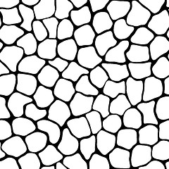 Image showing Texture - seamless pattern of irregular cells
