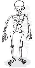 Image showing Rough stylized drawing - human skeleton