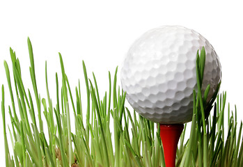 Image showing Golf Ball in Grass