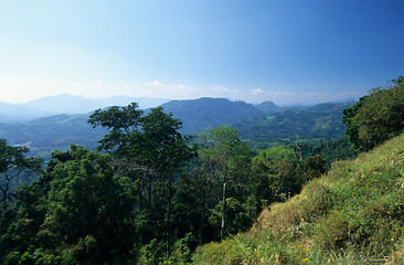 Image showing Valley and mountainsin  center of Sri Lanka