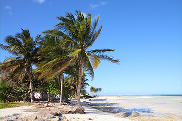 Image showing Cuba beach