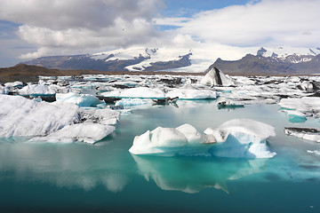 Image showing Iceland - Jokulsarlon