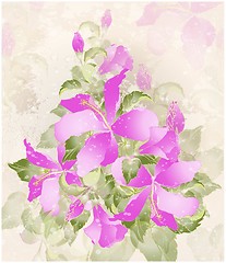 Image showing Greeting card with hibiscus. Illustration hibiscus.