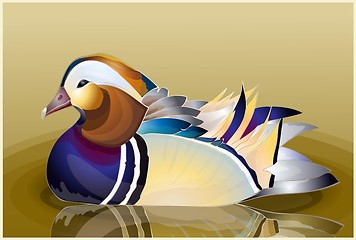 Image showing Closeup male mandarin duck (Aix galericulata) swimming, viewed of profile, with a large reflection in the water