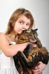 Image showing chilld with a Persian kitten