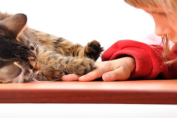 Image showing child and cat playing together