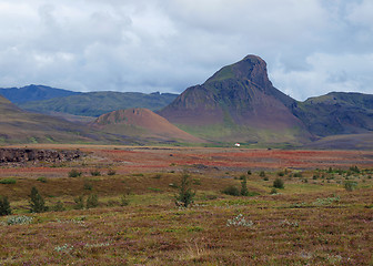 Image showing Laugavegur, Iceland.