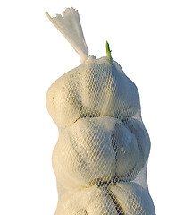 Image showing Garlic bulbs