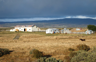 Image showing Patagonian farm in fall, Chile.