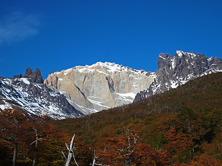 Image showing Torres del Paine in fall, Chile.