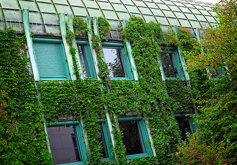 Image showing green house