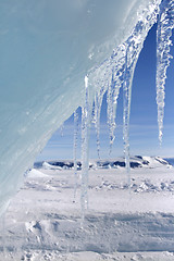 Image showing Icicles