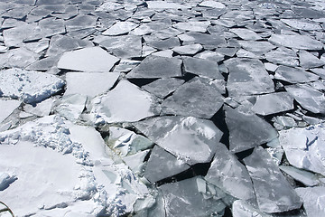 Image showing Sea ice on Antarctica