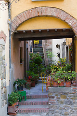 Image showing Cosy Backyard