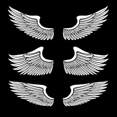 Image showing white angel wings set isolated on black