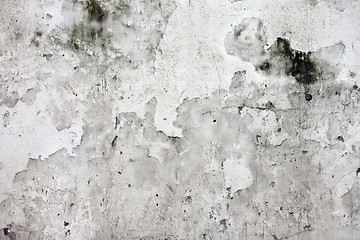 Image showing Grunge cracked concrete wall