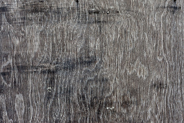 Image showing wooden texture dramatic light, natural pattern