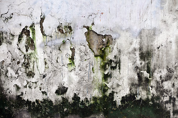 Image showing Grunge cracked concrete wall