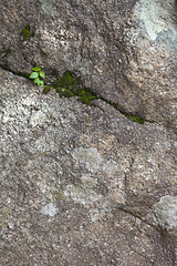 Image showing Background from high detailed fragment stone wall