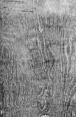 Image showing wooden texture dramatic light, natural pattern