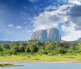 Image showing mountain in the shape of an elephant figure