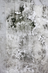 Image showing Grunge cracked concrete wall