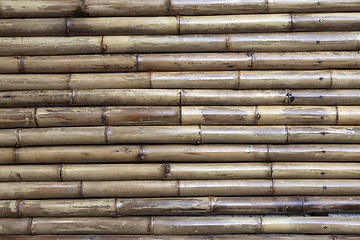 Image showing old bamboo background