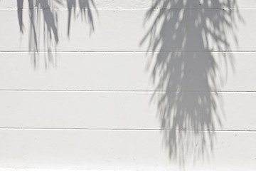 Image showing cement wall with a shade from palm trees
