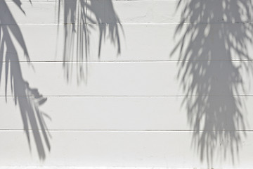 Image showing cement wall with a shade from palm trees