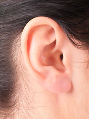 Image showing Close-up woman's ear