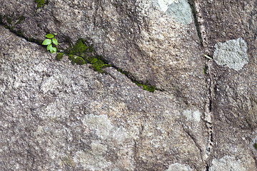 Image showing Background from high detailed fragment stone wall