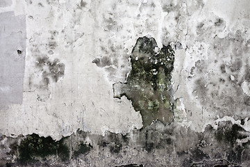 Image showing Grunge cracked concrete wall