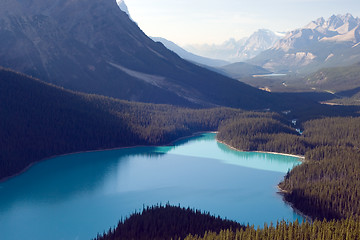 Image showing Peyto lake