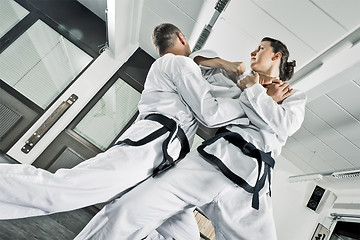 Image showing martial arts fighters