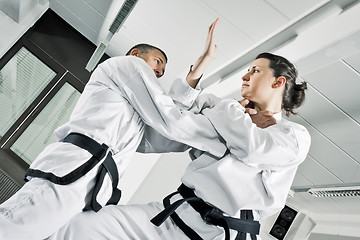 Image showing martial arts fighters