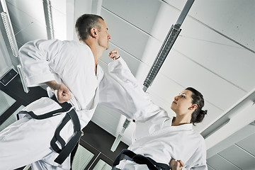 Image showing martial arts fighters