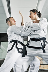 Image showing martial arts fighters