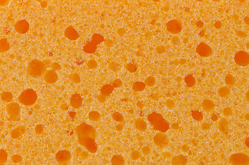 Image showing Orange sponge