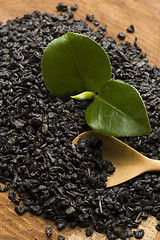 Image showing Fresh and dried tea