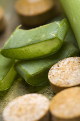 Image showing aloe vera plant with pills - herbal medicine